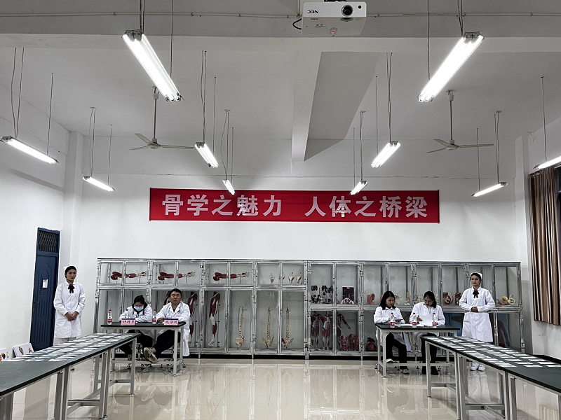 骨学之魅力·人体之桥梁——护理药学院成功举办beat365官方网站第一届人体骨骼辨识大赛开幕式暨初赛(图6)