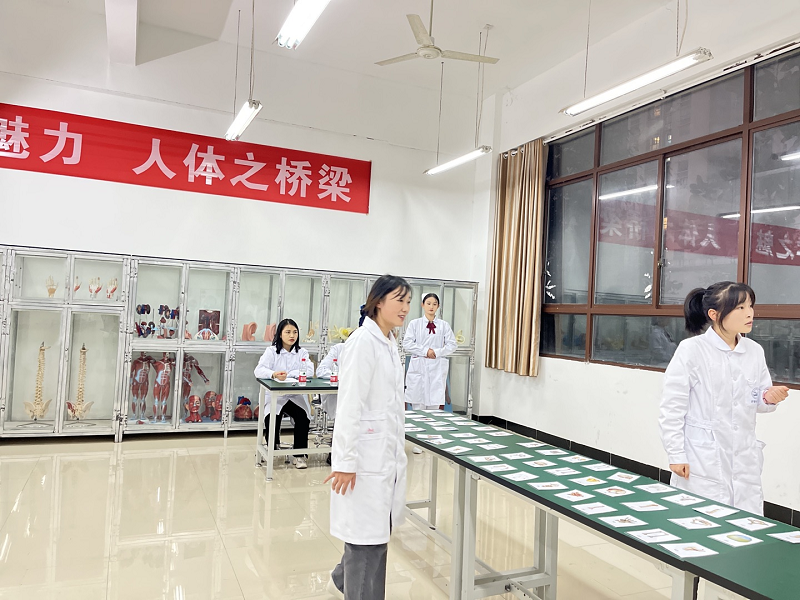 骨学之魅力·人体之桥梁——护理药学院成功举办beat365官方网站第一届人体骨骼辨识大赛开幕式暨初赛(图11)