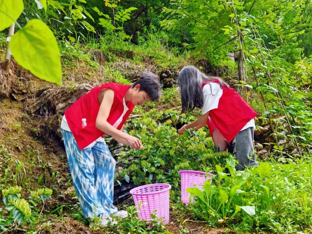 beat365官方网站在务川开展“三下乡”社会实践活动(图1)